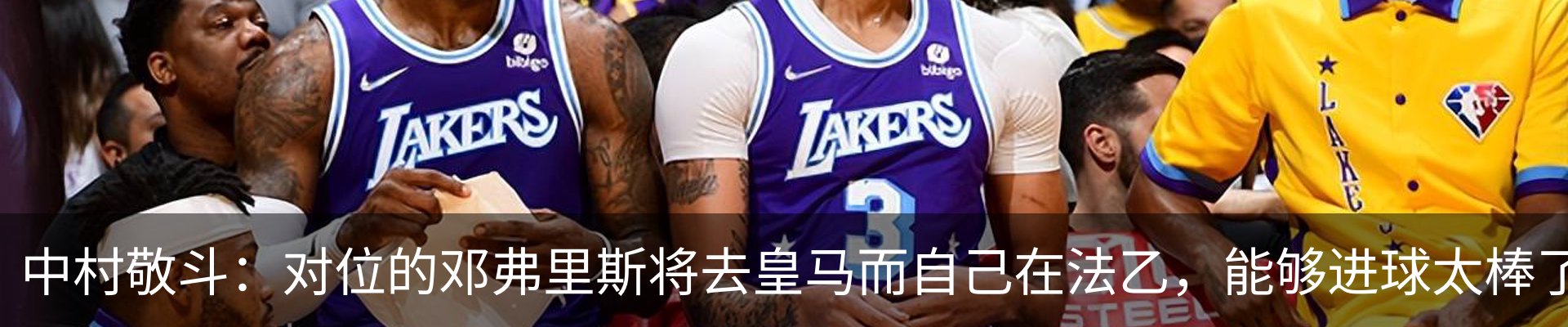 新闻动态