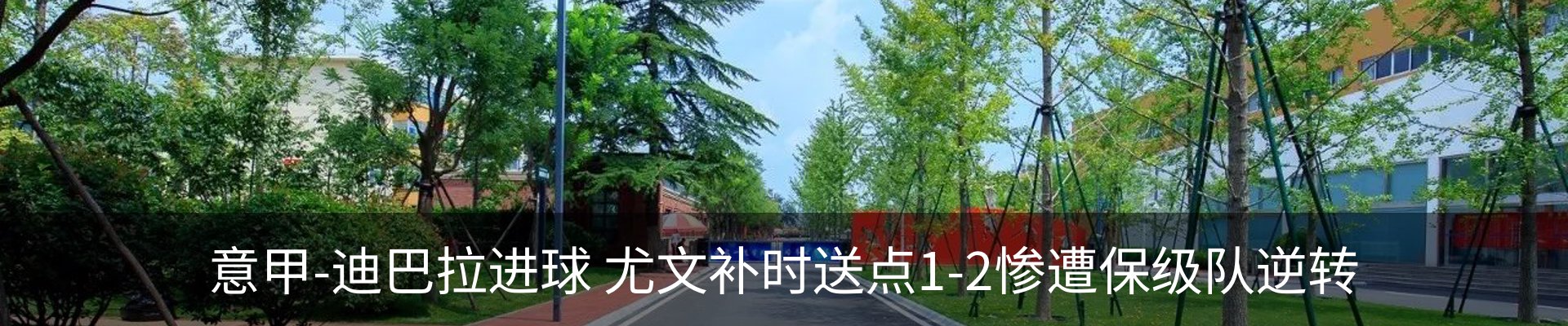 新闻动态