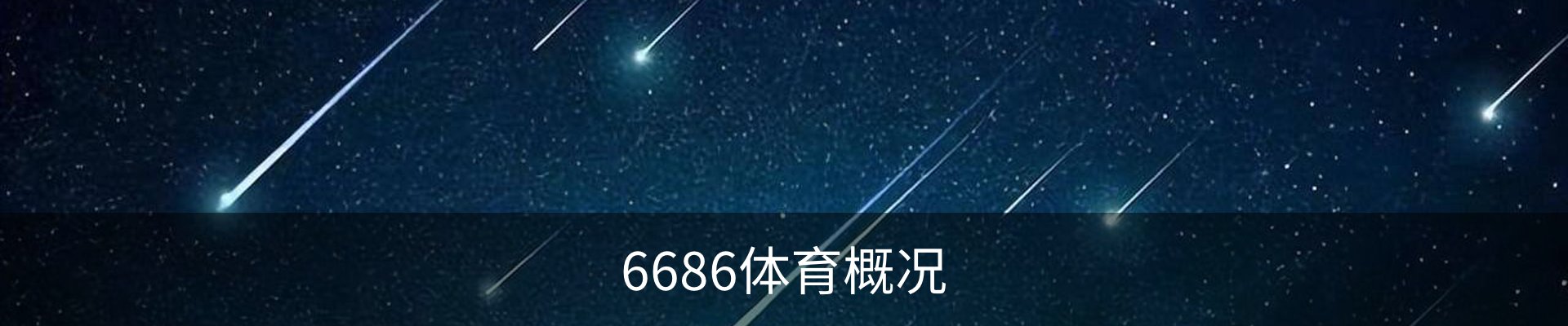 6686体育概况